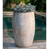 Campania Lacoste Planters